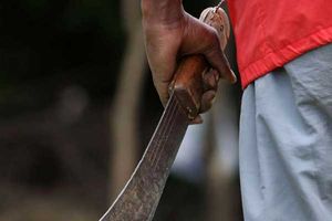 A man carrying a machete.