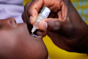 health officer administers polio vaccines 