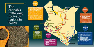 bhang weed trafficking routes in Kenya