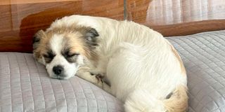 New Content Item (1)