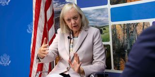 Meg Whitman 