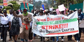 Lecturers strike