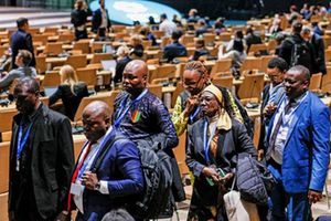 COP29