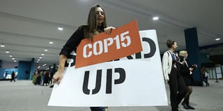 COP29