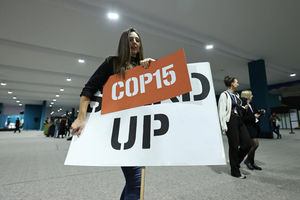 COP29