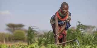 Turkana women