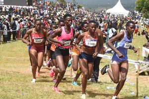 Great Chepsaita Cross Country Run