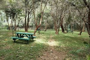 Sigiria picnic site karura forest