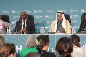 COP16