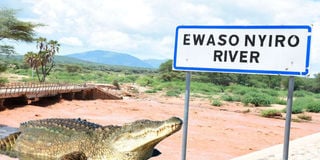 River Ewaso Ng’iro