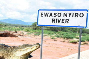 River Ewaso Ng’iro