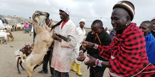 Kitengela livestock market 