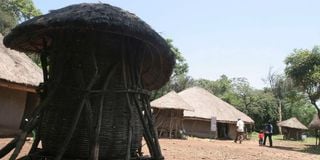 Luo homestead