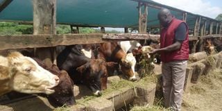 Thomas Onono, a livestock officer