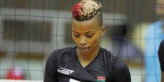 dnsportsvolleyball1206