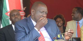 Ruto chewing miraa