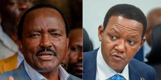 Kalonzo Musyoka and Alfred Mutua