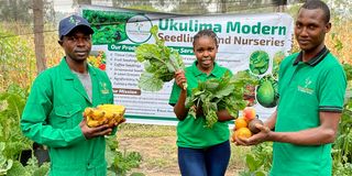 Ukulima Modern Seedlings and Nurseries