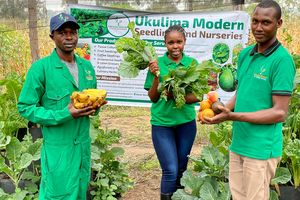 Ukulima Modern Seedlings and Nurseries