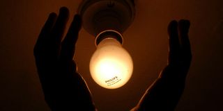Bulb
