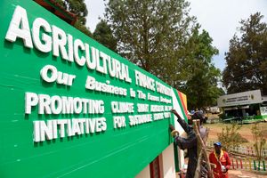 Agricultural Finance Corporation 