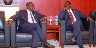 President William Ruto 