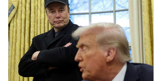 Elon Musk Donald Trump 