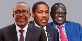 Mithika Linturi, Peter Munya