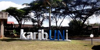 New Content Item (3)