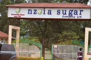 Nzoia Sugar Company
