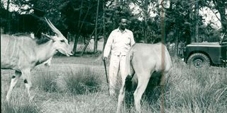 JM Kariuki