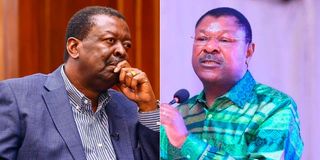 Musalia Mudavadi and Moses Wetang’ula