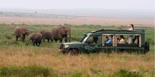 Maasai Mara