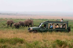 Maasai Mara