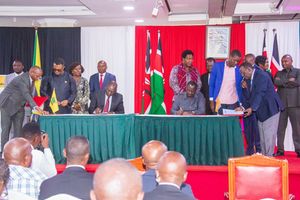 UDA and ODM deal
