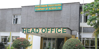 Pyrethrum Processing Company