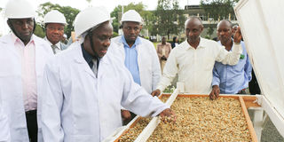 Pyrethrum Processing Company