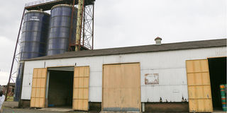 Pyrethrum Processing Company