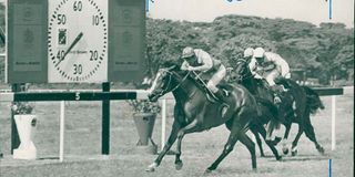 Lord and Lady Delamere
