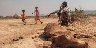 Drought