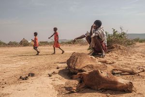 Drought