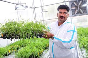 Sridhar Bhavani