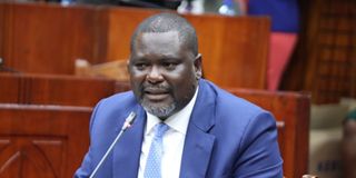 Mbeere North MP Geoffrey Ruku during vetting