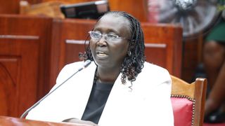 Vetting of CS nominee Hannah Wendot Cheptumo