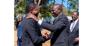 Moses Wetang'ula and William Ruto