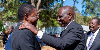 Moses Wetang'ula and William Ruto