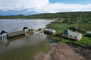 Lake Bogoria
