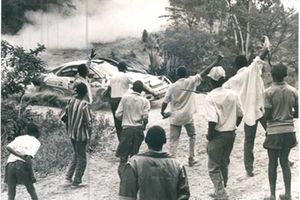 Safari Rally 