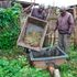 Obedi Kimani