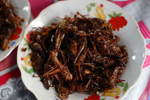 Fried grasshopper